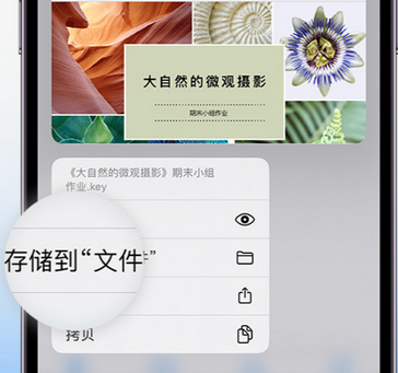 兴仁apple维修中心分享iPhone文件应用中存储和找到下载文件