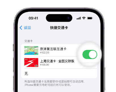 兴仁apple维修点分享iPhone上更换Apple Pay快捷交通卡手绘卡面 