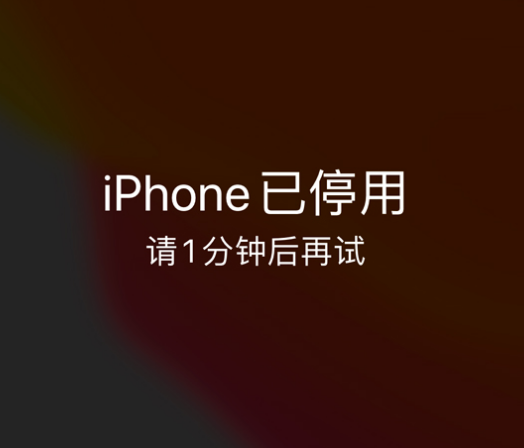 兴仁苹果手机维修分享:iPhone 显示“不可用”或“已停用”怎么办？还能保留数据吗？ 