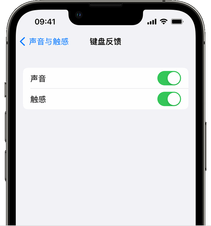 兴仁苹果14维修店分享如何在 iPhone 14 机型中使用触感键盘 