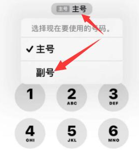 兴仁苹果14维修店分享iPhone 14 Pro Max使用副卡打电话的方法 