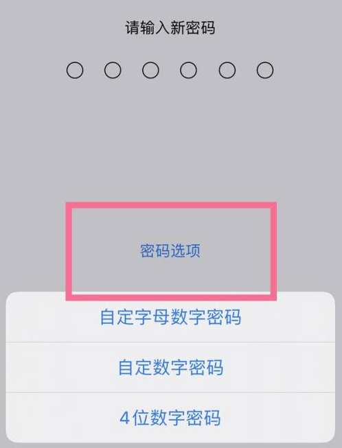 兴仁苹果14维修分享iPhone 14plus设置密码的方法 