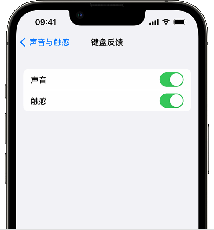 兴仁苹果14维修分享iPhone 14 系列机型如何开启键盘声音或触感反馈 