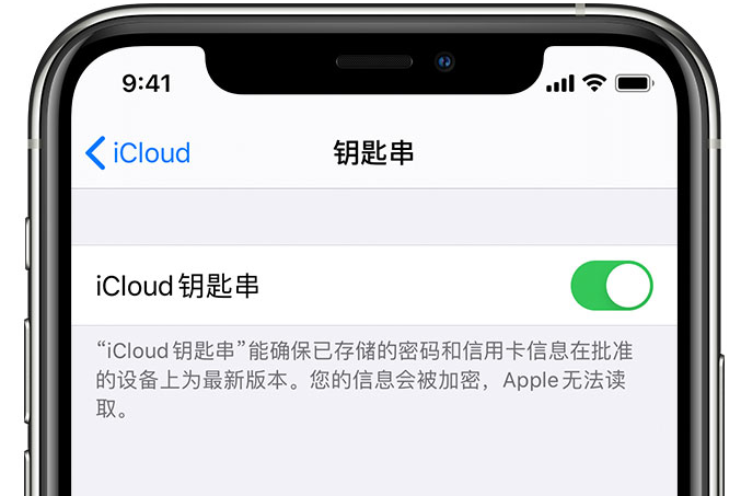 兴仁苹果手机维修分享在 iPhone 上开启 iCloud 钥匙串之后会储存哪些信息 