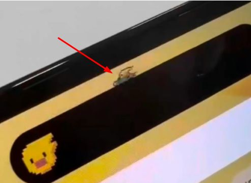 兴仁苹果14维修分享iPhone 14 Pro Max灵动岛怎么养宠物 