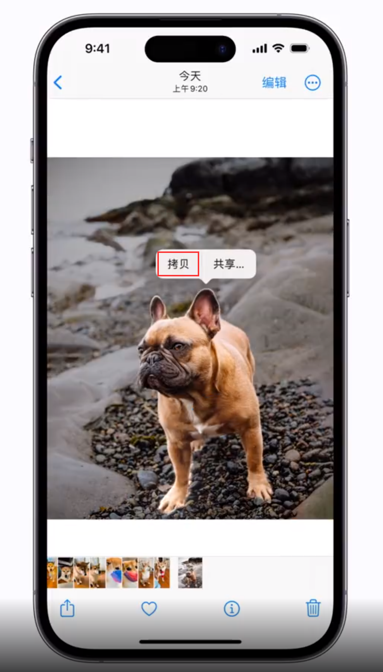 兴仁苹果手机维修分享 iOS 16 自带一键抠图功能 