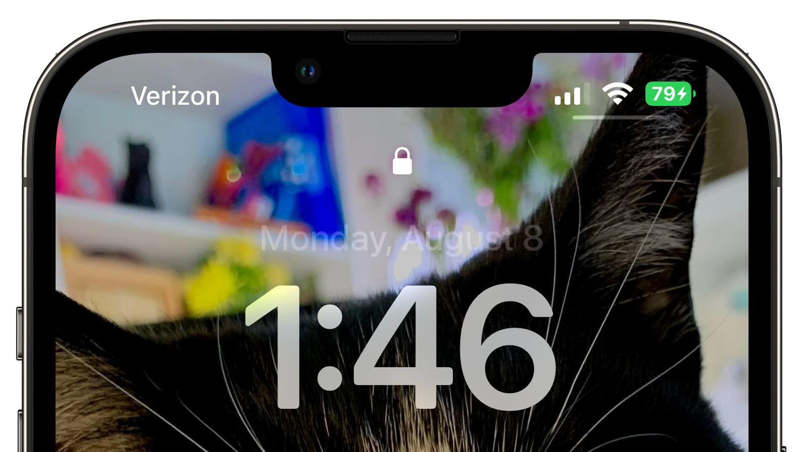 兴仁苹果手机维修分享iOS 16 beta 5 支持状态栏显示电池百分比，如何开启？支持哪些机型 