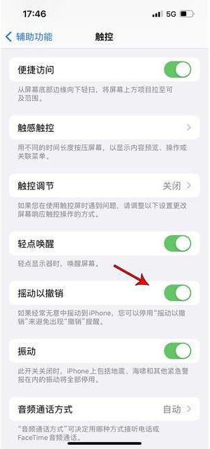 兴仁苹果手机维修分享iPhone手机如何设置摇一摇删除文字 