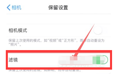 兴仁苹果13维修分享iPhone13拍照有绿点是怎么回事 