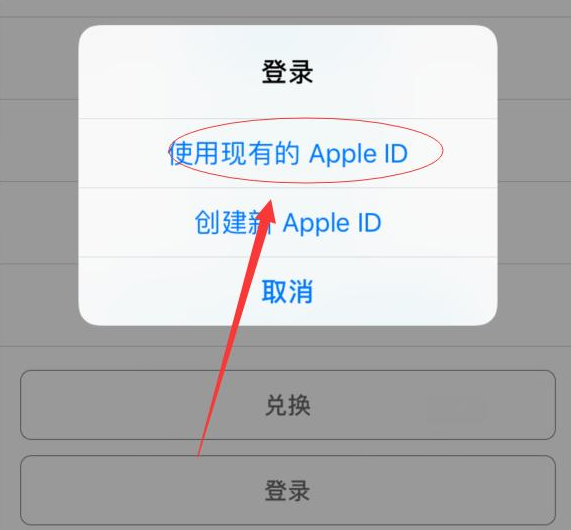 兴仁苹果手机维修分享两台iPhone设备可以同时登录一个Apple ID吗 