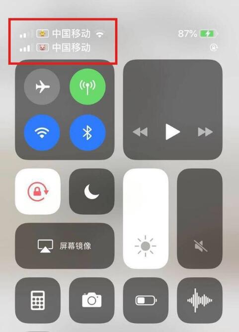 兴仁苹果手机维修分享为 iPhone 12 双卡设置标签 