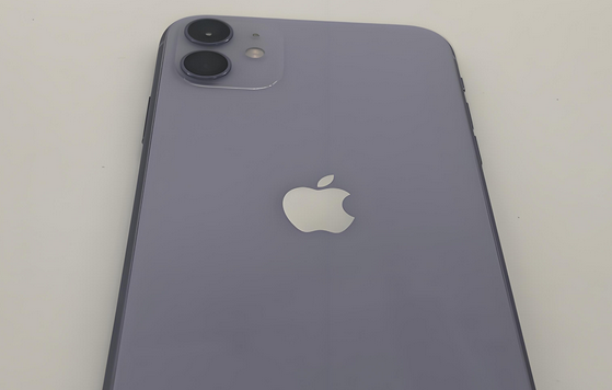 兴仁苹果11系统维修分享iPhone11手机系统崩溃无法开机如何解决