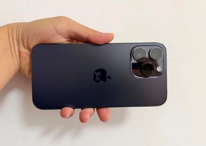 兴仁苹果维修点分享iPhone 14 Pro Max黑屏少见故障盘点 